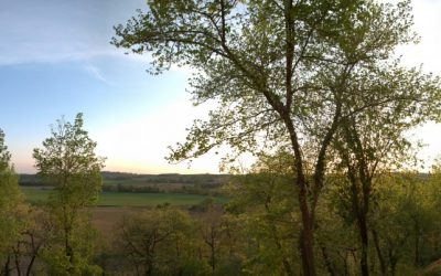 Promenade autour du Domaine – les fermes