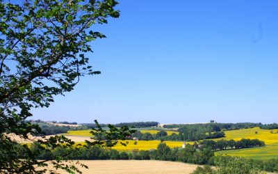 Promotion de dernière minute, jusqu’à 25% de réduction – gîte grande capacité 12-15 personnes.