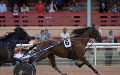 Hippodrome de Beaumont de Lomagne