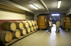 visite de la cave de saint-sardos en lomagne