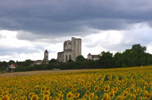 tournesols et la romieu