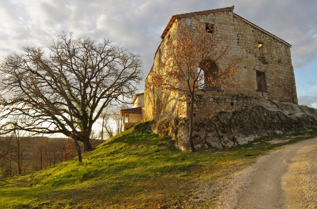 mur du château du Domaine de Saussignac, arbres en automne