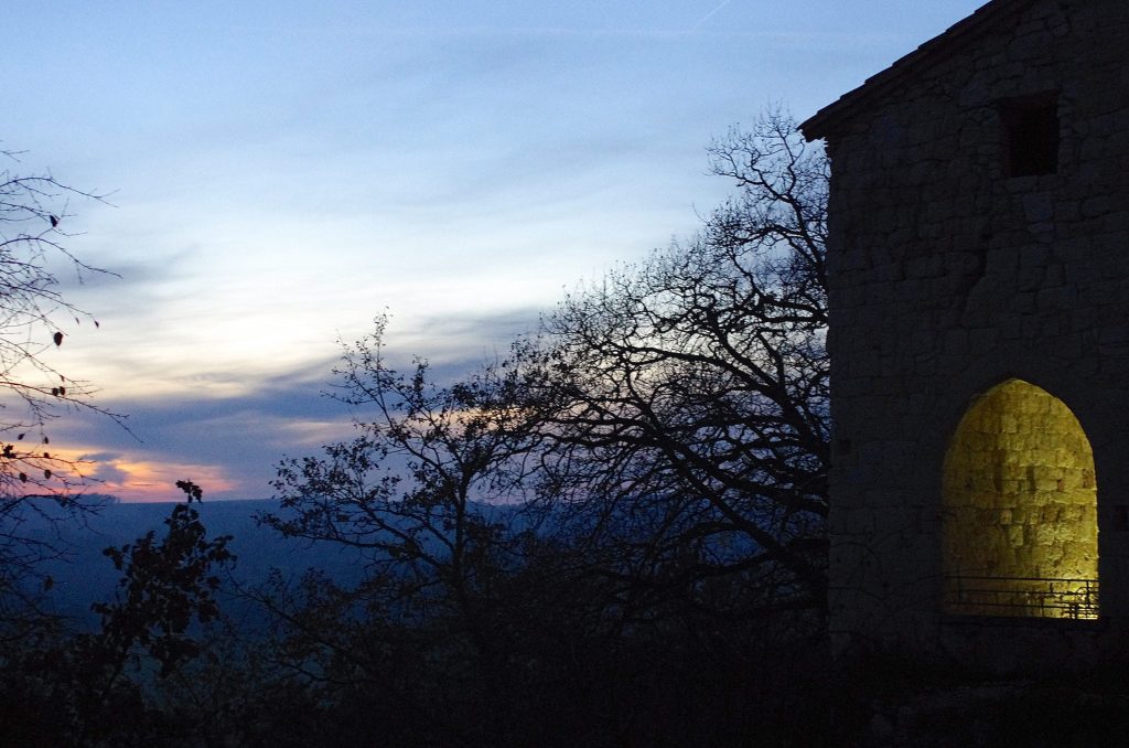 coucher de soleil sur des branches d'arbres en hiver