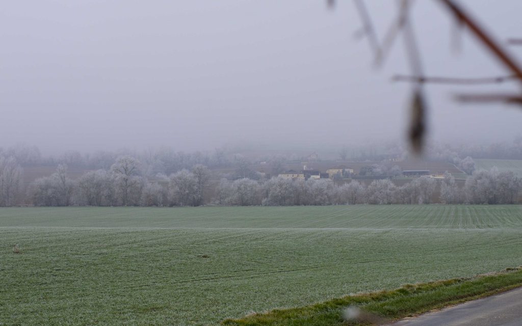 champs en hiver, campagne dans le brouillard