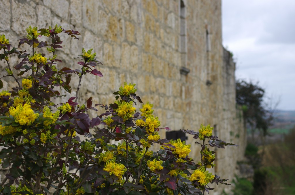 Murs des remparts, à Maubec