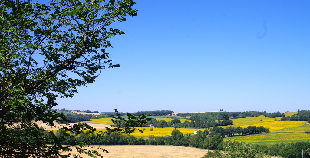 Vue depuis la salle à manger via la grande baie vitrée...