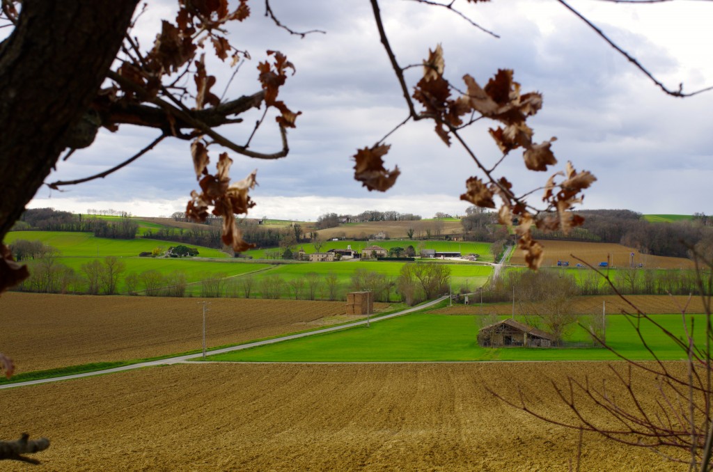 paysage, vue d'en bas du chemin