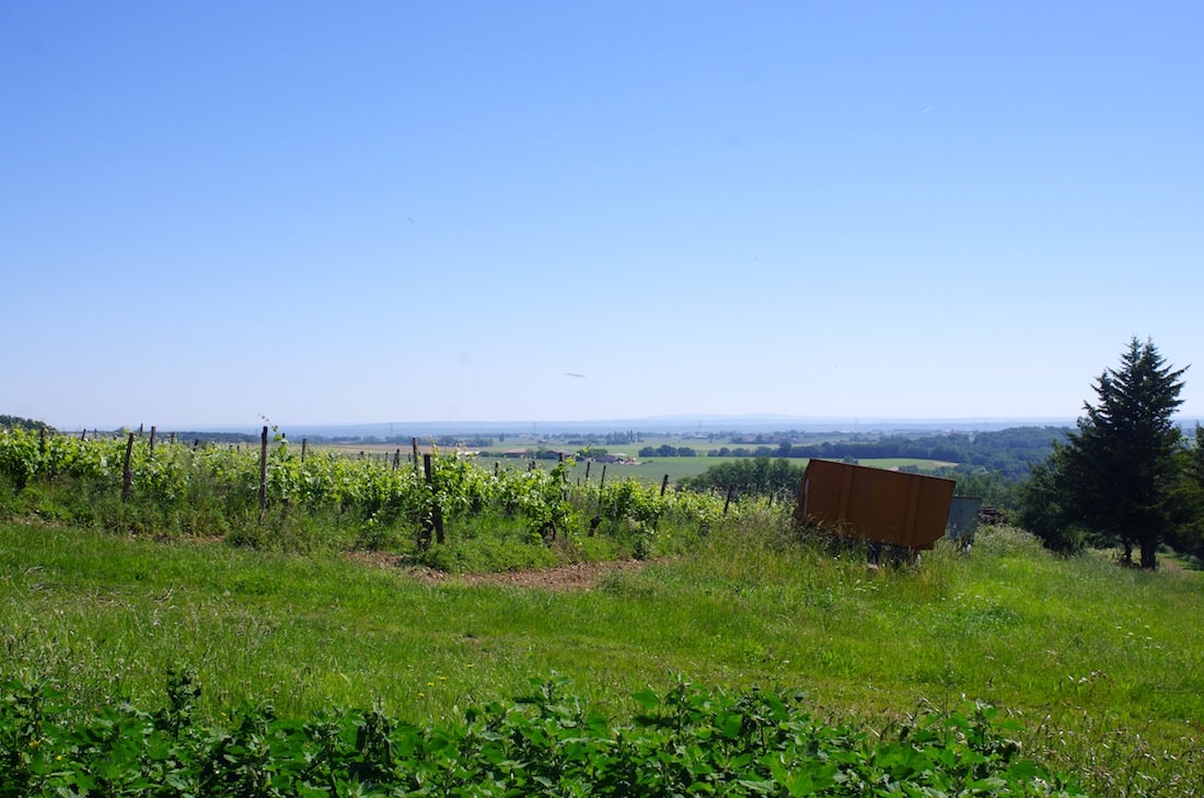 Paysage au coeur du sud ouest, Tar-et-Garonne, Occitanie