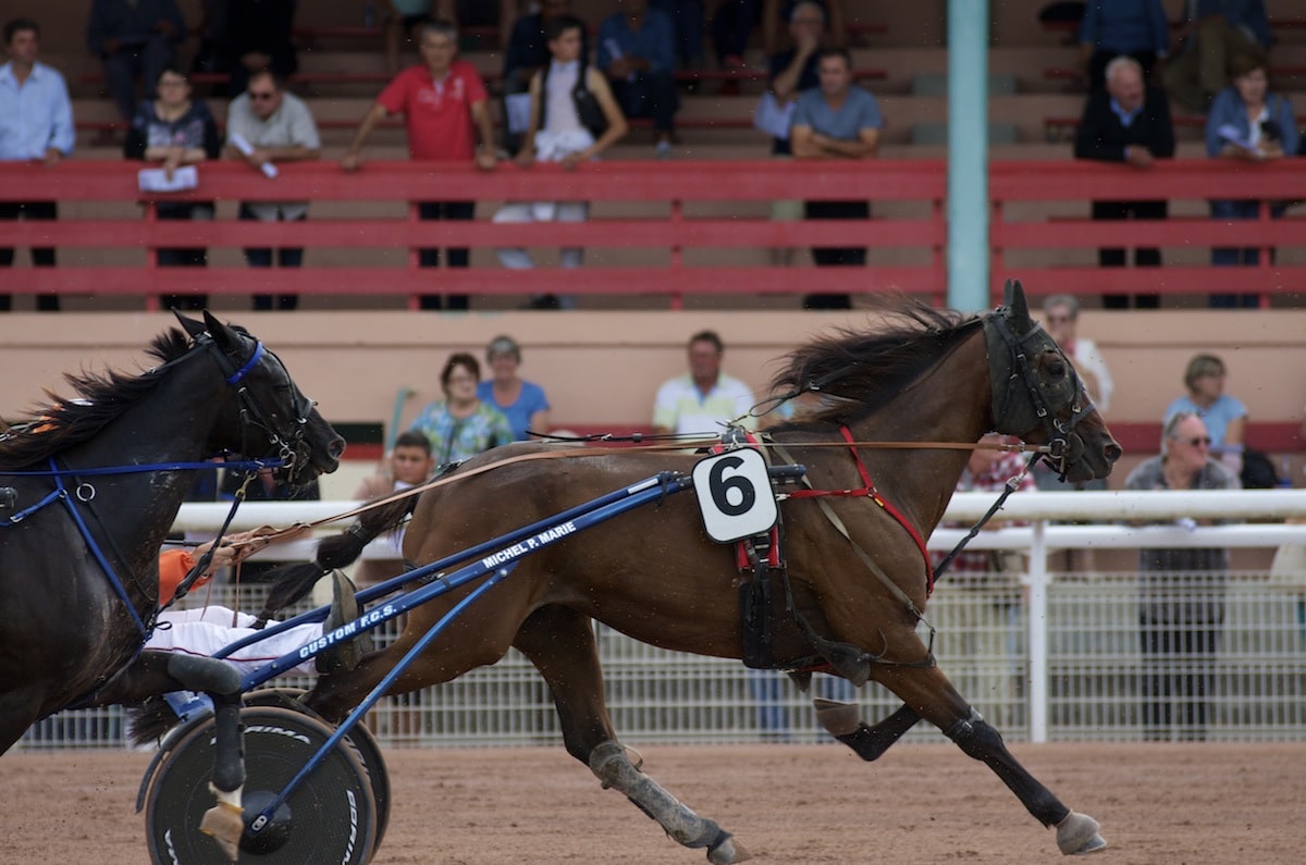 tarn et garonne courses hippiques beaumont de lomagne