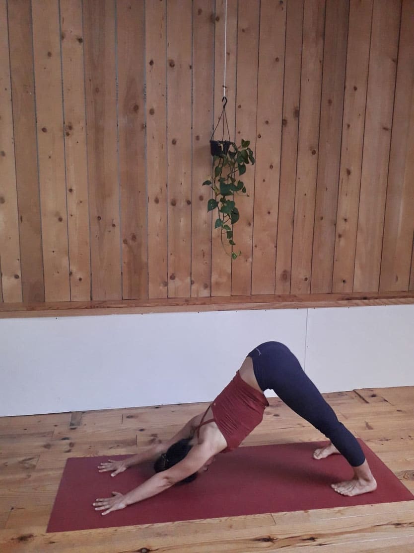 stage de yoga Elsa professeur Toulouse