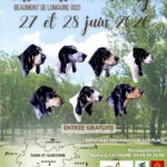 exposition canine 2026 beaumont de lomagne se loger à proximité