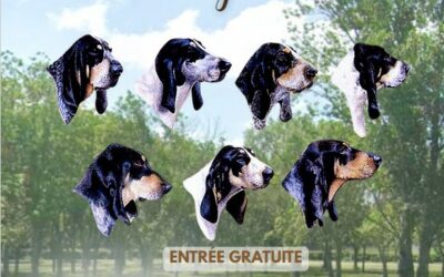 Hébergement Exposition Canine Beaumont-de-Lomagne 2026 – Gîte groupe Tarn-et-Garonne