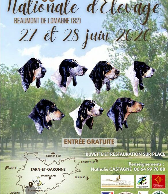 exposition canine 2026 beaumont de lomagne se loger à proximité